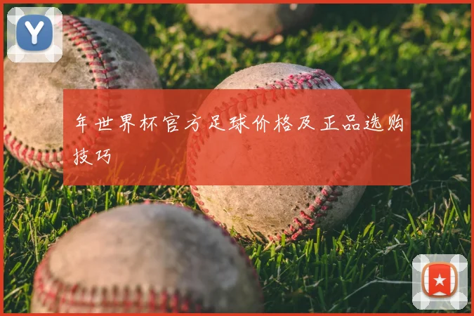年世界杯官方足球价格及正品选购技巧