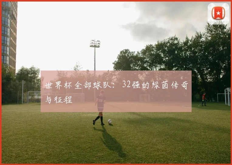 世界杯全部球队:32强的绿茵传奇与征程