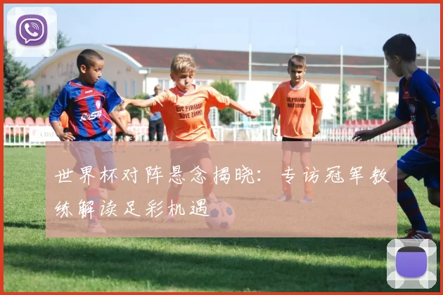 世界杯对阵悬念揭晓:专访冠军教练解读足彩机遇