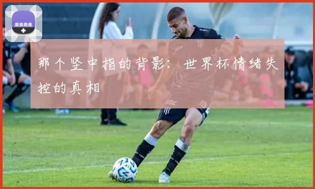 那个竖中指的背影：世界杯情绪失控的真相