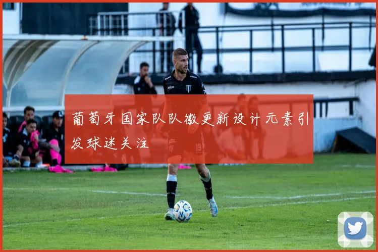 葡萄牙国家队队徽更新设计元素引发球迷关注