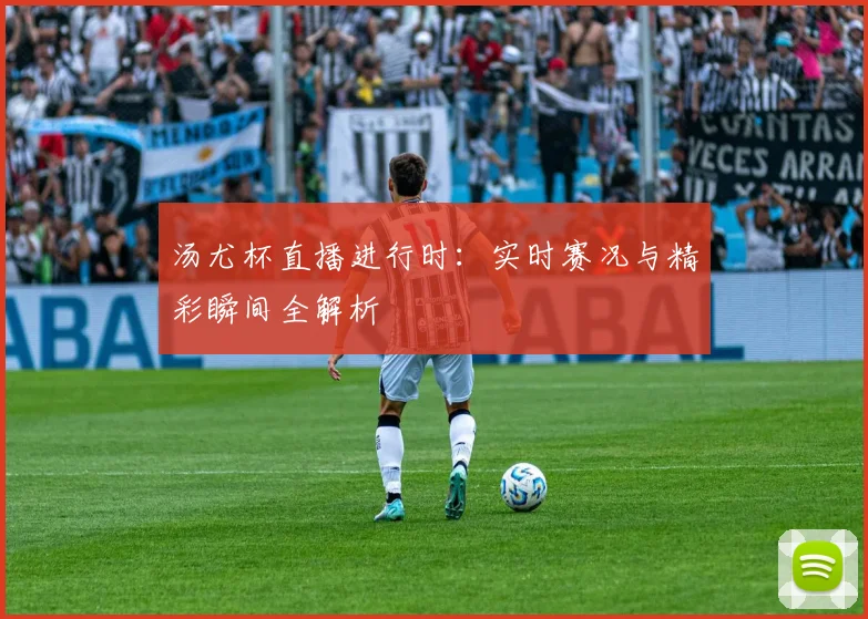 汤尤杯直播进行时:实时赛况与精彩瞬间全解析