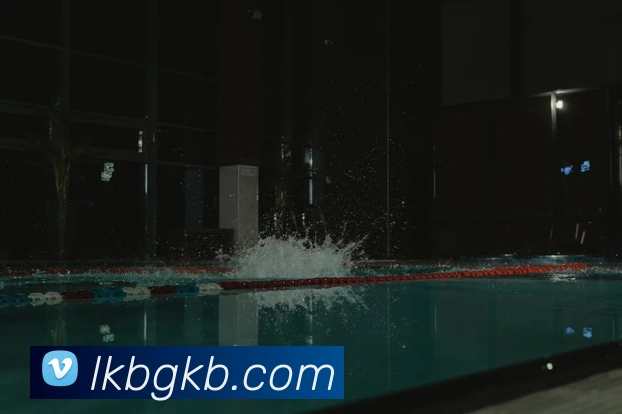 熊猫网官网首页服务体系